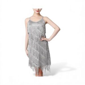 Silver Fringe Dress